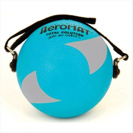 AGM GROUP AGM Group 35944 5 in. Power Yoga-Pilates Weight Ball - Teal-Gray 35944